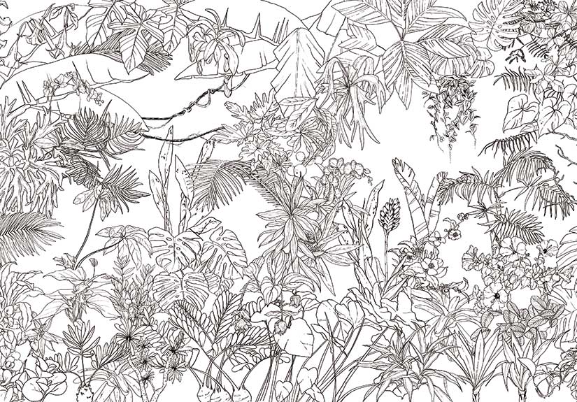 Papier peint Jungle Tropical Noir et Blanc Panoramique
